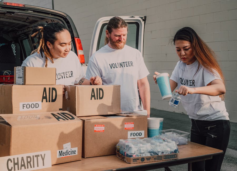 Volunteers working together in community service